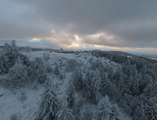 DJI_2288.JPG